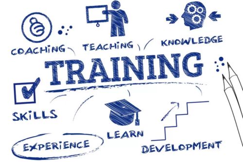 Workshops and Training: Research Skills